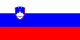 eSIM Словения — флаг
